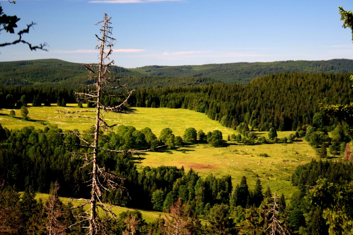 Sumava National Park